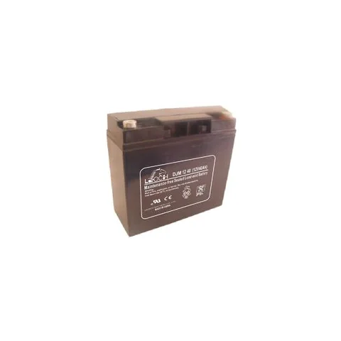 Аккумуляторная батарея Leoch DJM1240