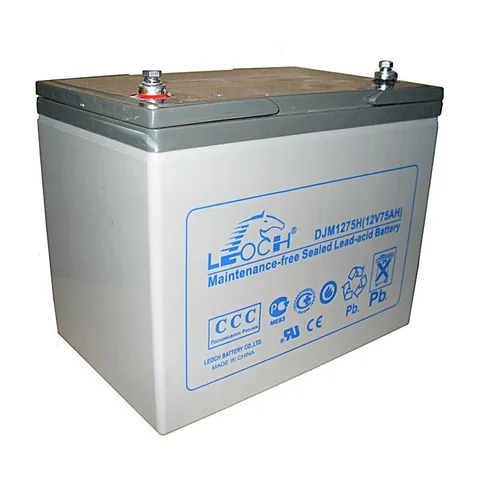 Аккумуляторная батарея Leoch DJM1275H