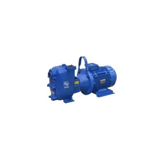 Центробежный насос Varisco JE 2-170 B10 MT20