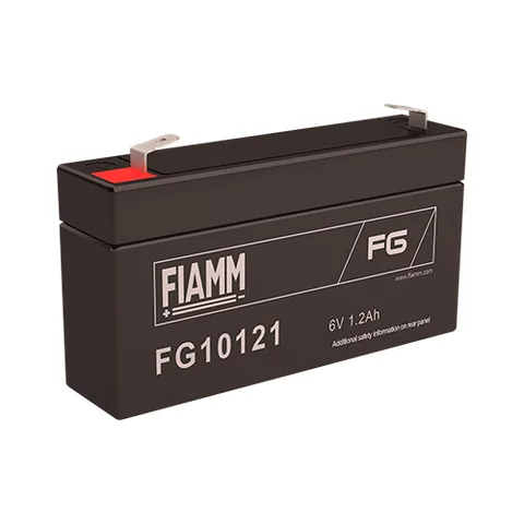 Аккумуляторная батарея Fiamm