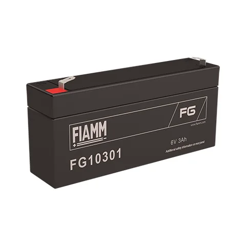 Аккумуляторная батарея Fiamm