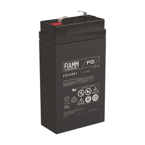 Аккумуляторная батарея Fiamm