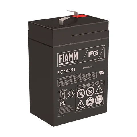 Аккумуляторная батарея Fiamm