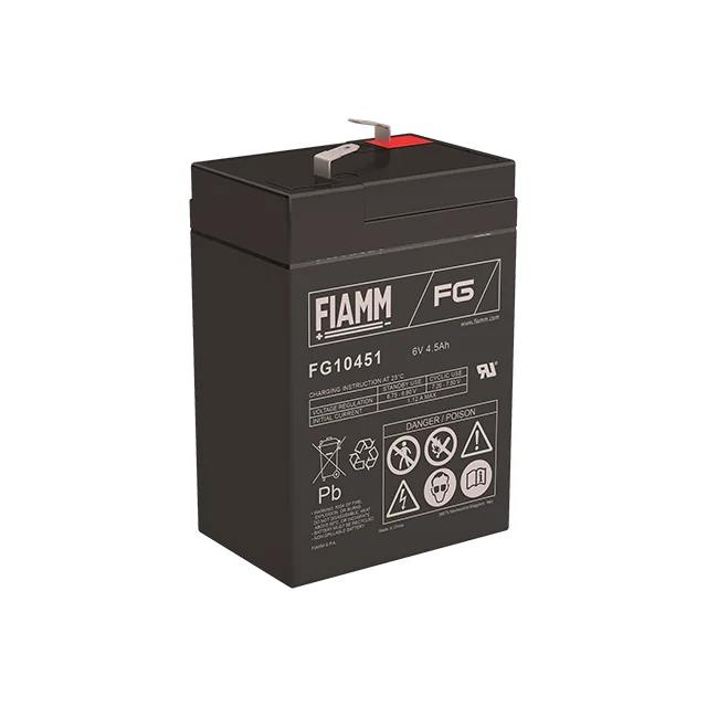 Аккумуляторная батарея Fiamm