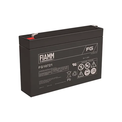 Аккумуляторная батарея Fiamm
