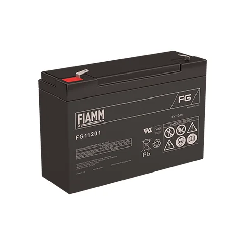 Аккумуляторная батарея Fiamm