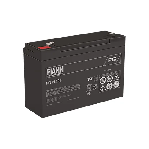 Аккумуляторная батарея Fiamm