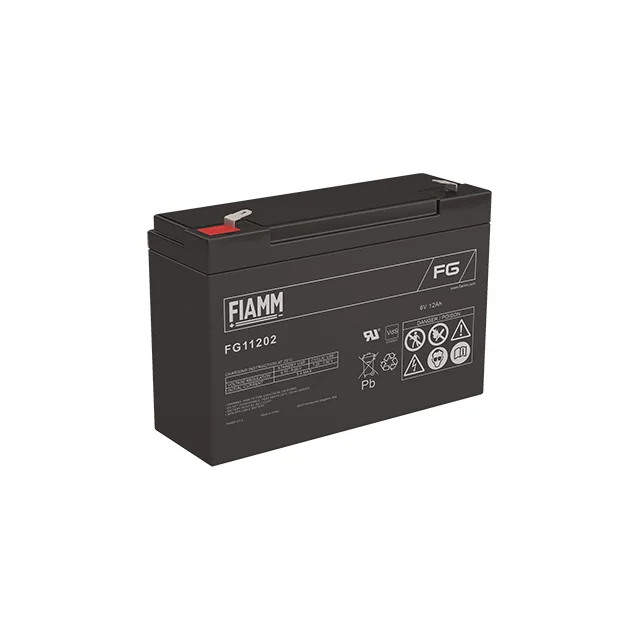 Аккумуляторная батарея Fiamm