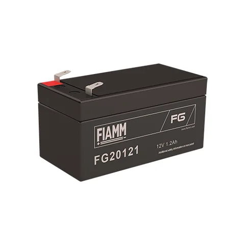 Аккумуляторная батарея Fiamm