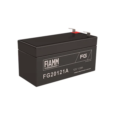 Аккумуляторная батарея Fiamm