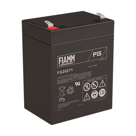 Аккумуляторная батарея Fiamm