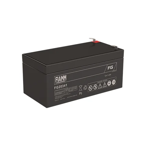 Аккумуляторная батарея Fiamm