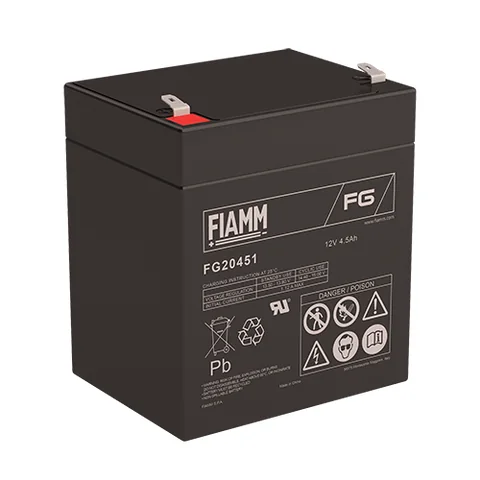 Аккумуляторная батарея Fiamm