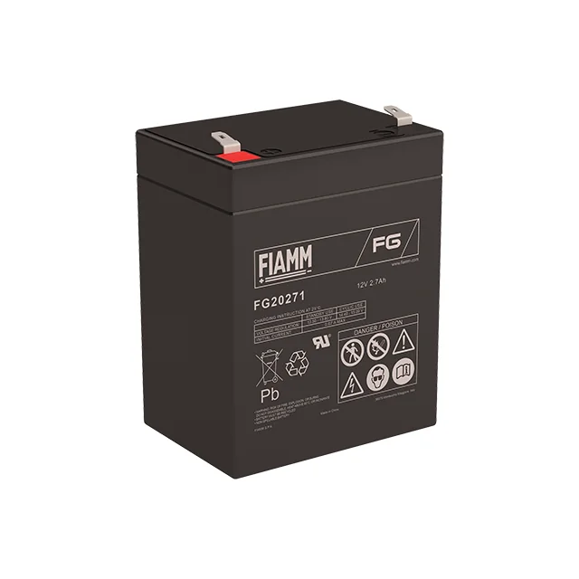 Аккумуляторная батарея Fiamm