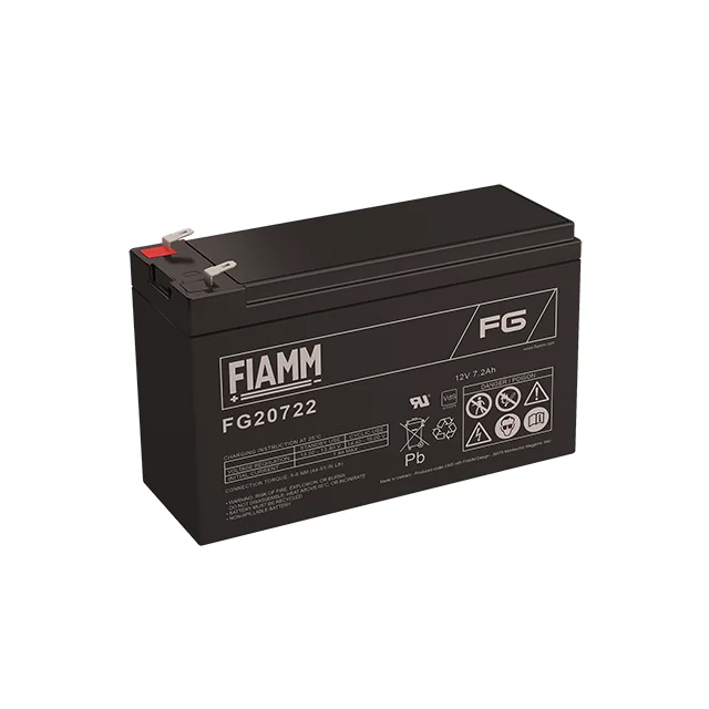 Аккумуляторная батарея Fiamm