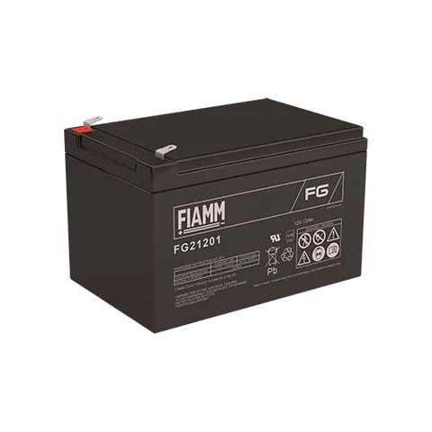 Аккумуляторная батарея Fiamm