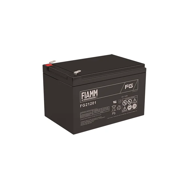 Аккумуляторная батарея Fiamm