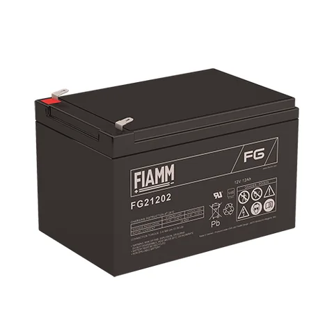 Аккумуляторная батарея Fiamm