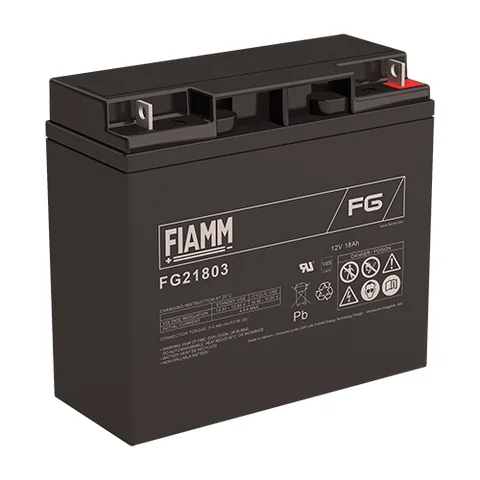 Аккумуляторная батарея Fiamm