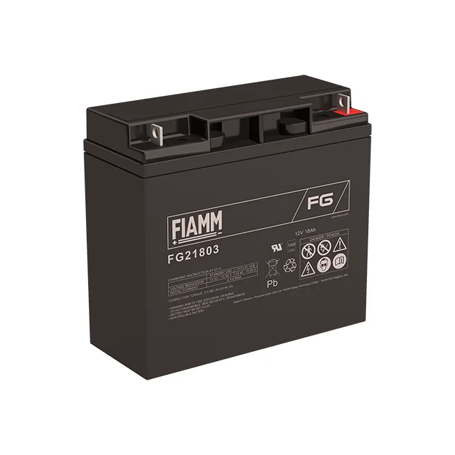 Аккумуляторная батарея Fiamm