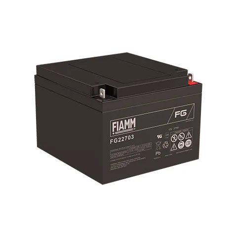 Аккумуляторная батарея Fiamm