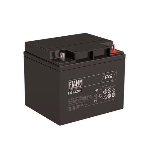 Аккумуляторная батарея Fiamm