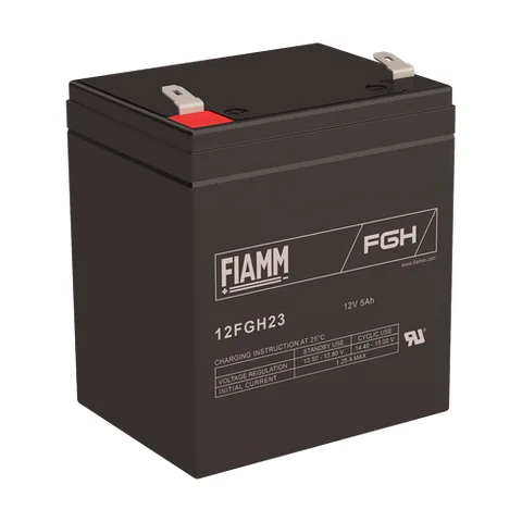 Аккумуляторная батарея Fiamm