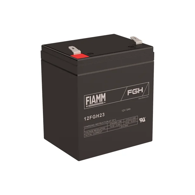Аккумуляторная батарея Fiamm