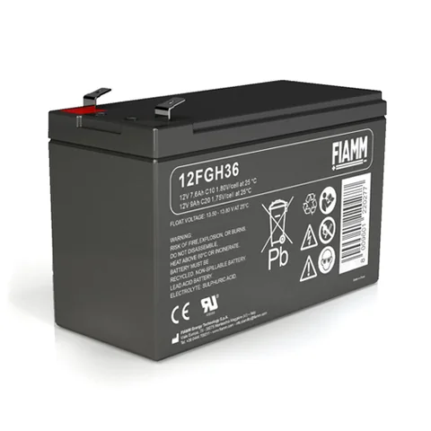 Аккумуляторная батарея Fiamm