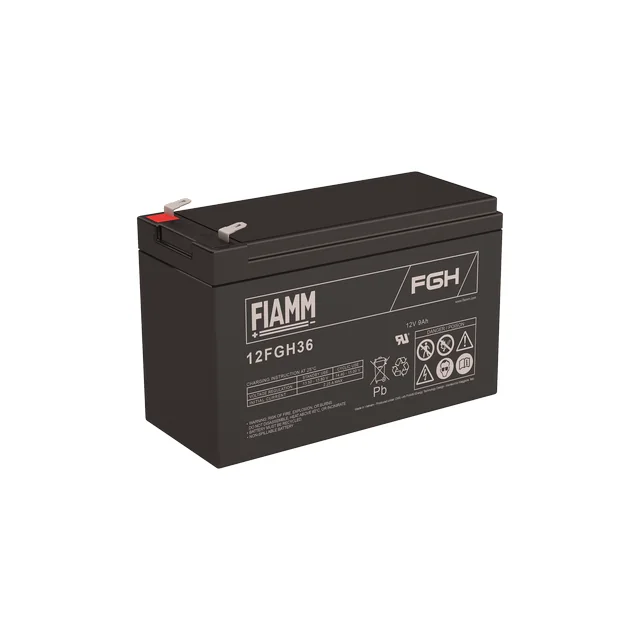 Аккумуляторная батарея Fiamm
