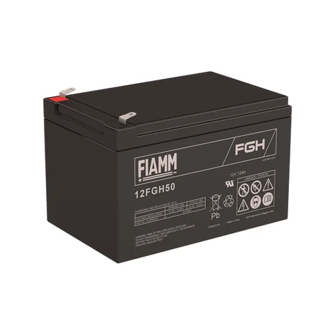 Аккумуляторная батарея Fiamm