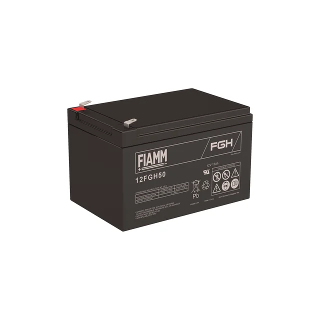 Аккумуляторная батарея Fiamm