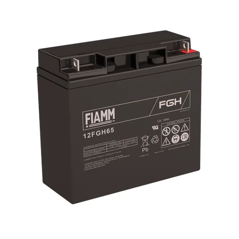 Аккумуляторная батарея Fiamm