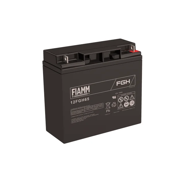Аккумуляторная батарея Fiamm