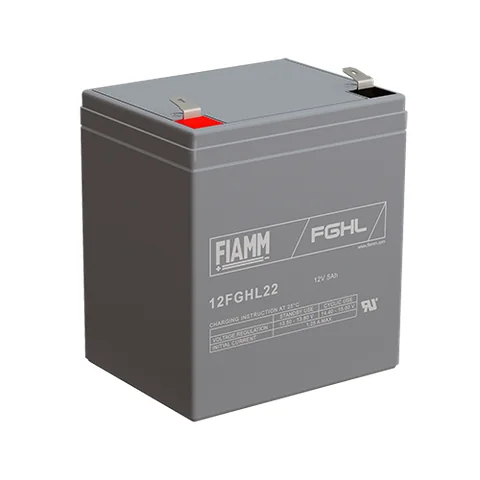 Аккумуляторная батарея Fiamm