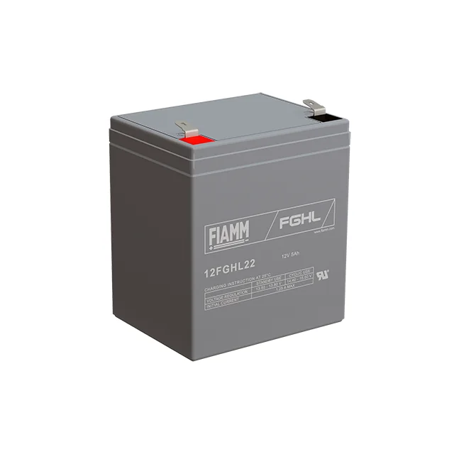 Аккумуляторная батарея Fiamm