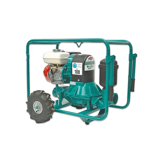 Caffini Pumps