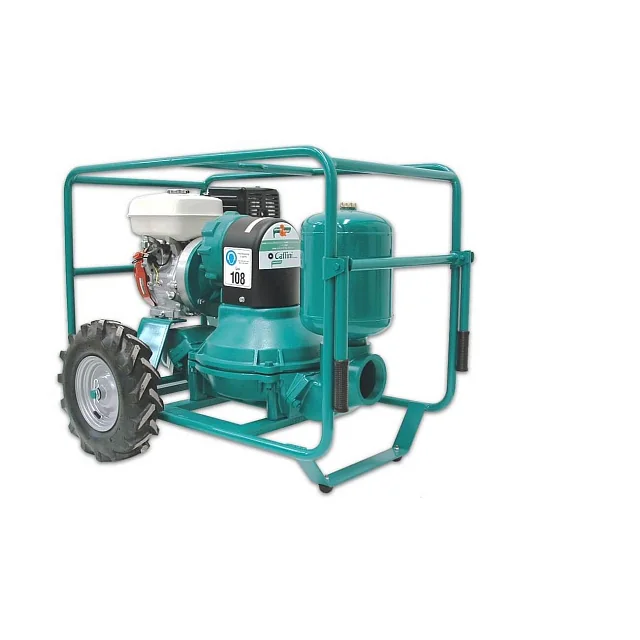 Caffini Pumps