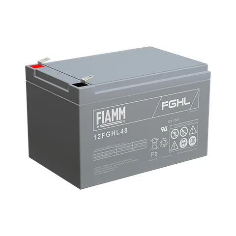 Аккумуляторная батарея Fiamm