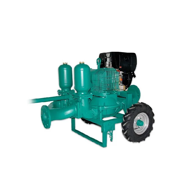 Caffini Pumps