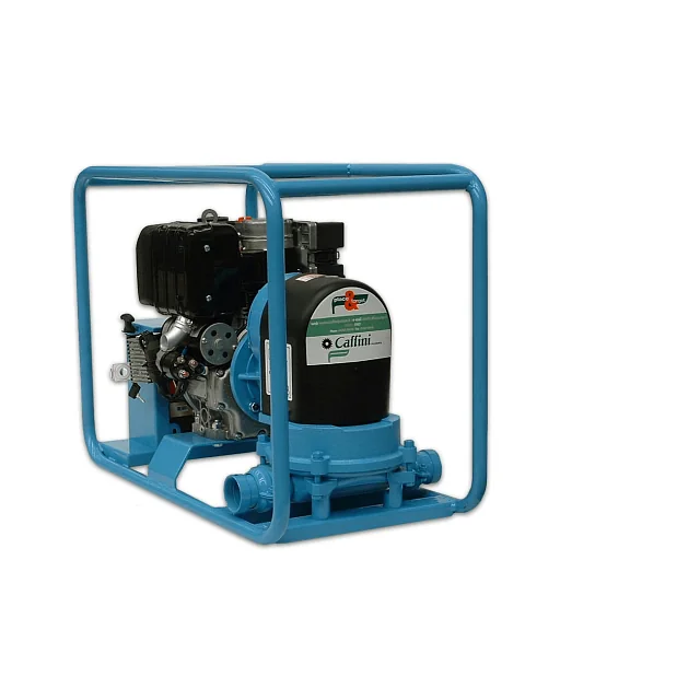 Caffini Pumps