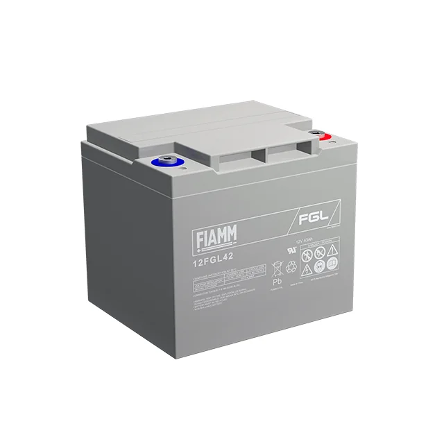 Аккумуляторная батарея Fiamm