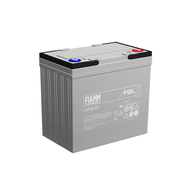 Аккумуляторная батарея Fiamm