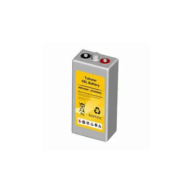 Аккумуляторная батарея Leoch 6 OPzV 600