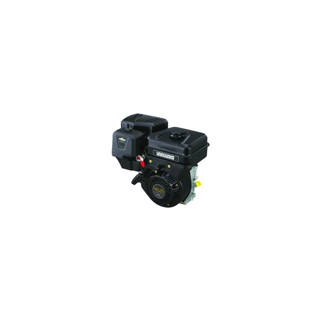 Двигатель Briggs&Stratton