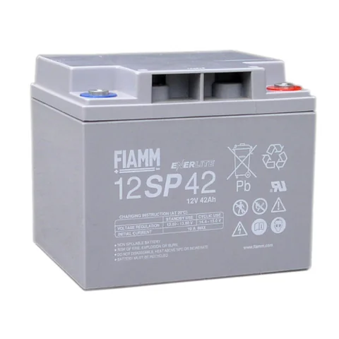 Аккумуляторная батарея Fiamm
